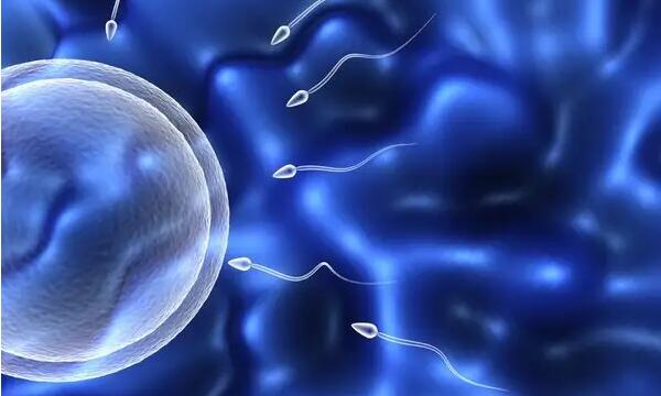 试管婴儿精子和卵子会搞错吗？
