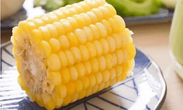 移殖后可以吃玉米吗？怎么有人说不能吃玉米