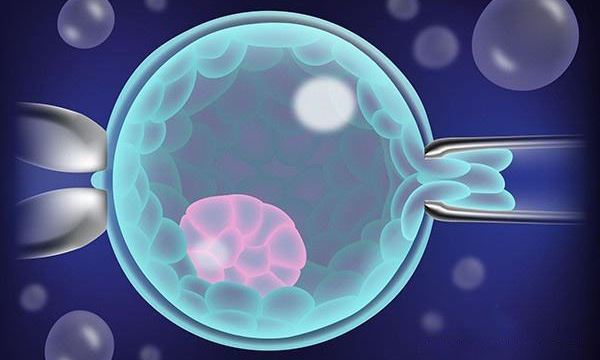 试管移植鲜胚怎么算怀孕多少天？鲜胚出血是什么情况要怎么做